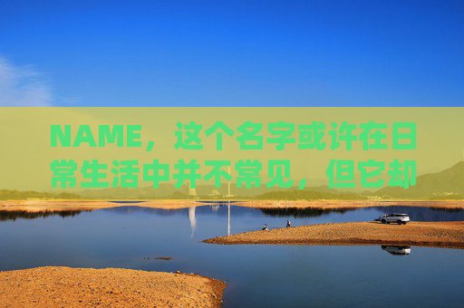 NAME,这个名字或许在日常生活中并不常见,但它却在某些领域里扮演着重要的角色。今天,让我们一起来探索这个名字背后的故事和意义